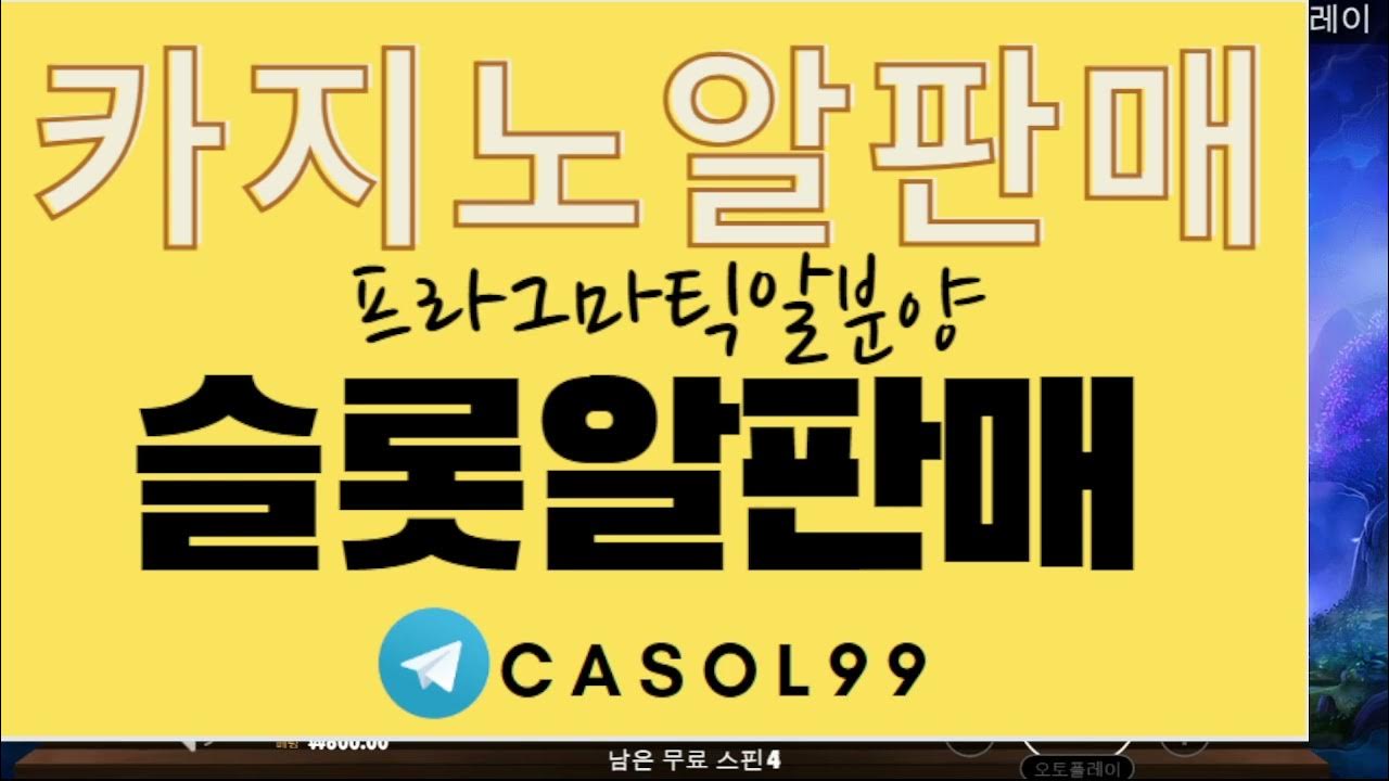 카지노솔루션분양 ⏳ Telegram Casol99 ⏳ 카지노솔루션임대 카지노솔루션판매 바카라솔루션임대 - Youtube