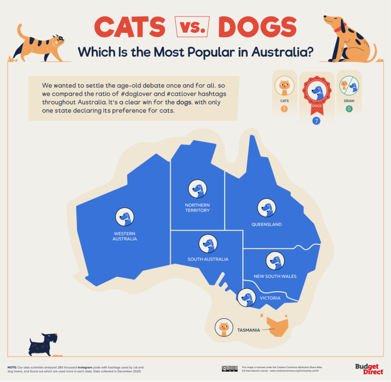 Cats Vs. Dogs: Which Does The World Prefer? – Insurance Solved Blog |  Budget Direct