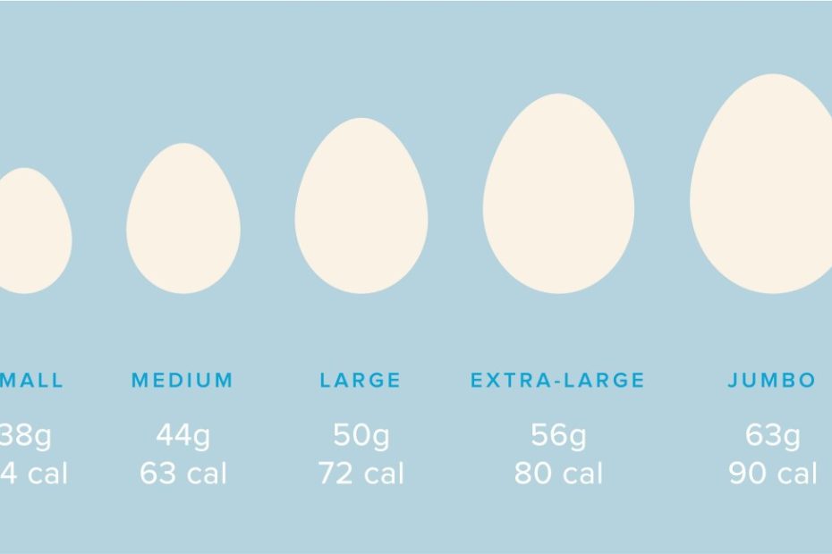 How Many Calories Are In An Egg?