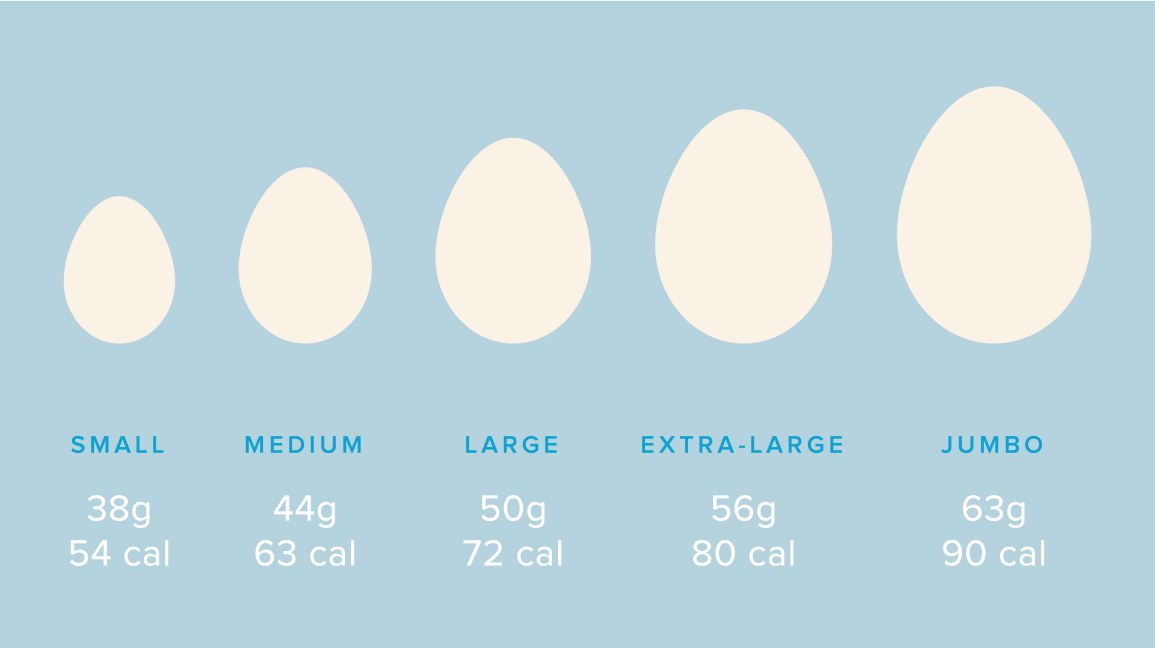 How Many Calories Are In An Egg?