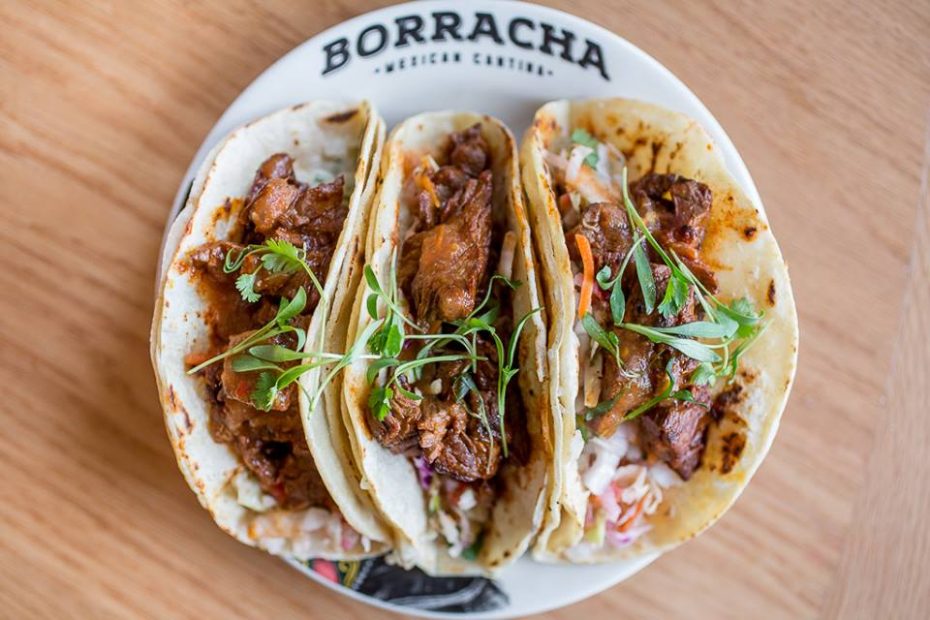 Fun Facts About Tacos That You Probably Never Knew - Borracha Mexican  Cantina