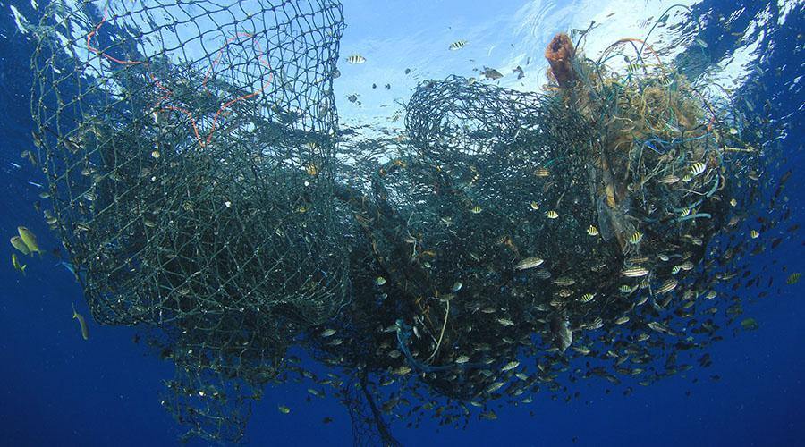 6 Harmful Overfishing Practices And Types Of Gear | 4Ocean