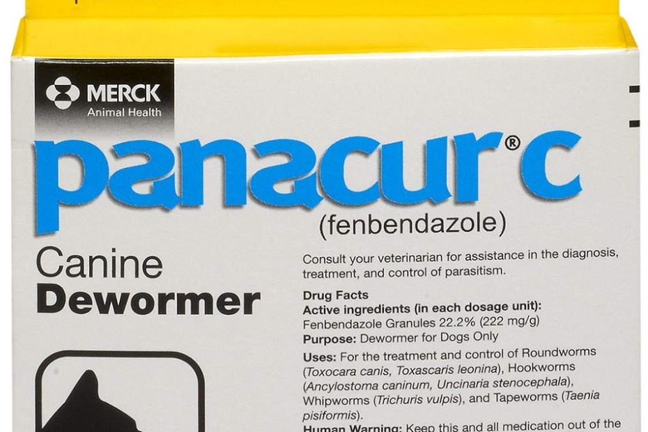 Amazon.Com : Panacur C Canine Dewormer (Fenbendazole), 1 Gram, Yellow, 3  Count (Pack Of 1) : Panacur For Dogs : Pet Supplies