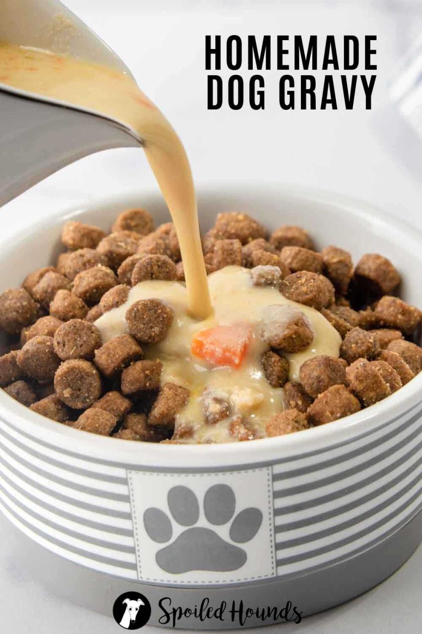 Best Homemade Dog Gravy Recipe - Spoiled Hounds