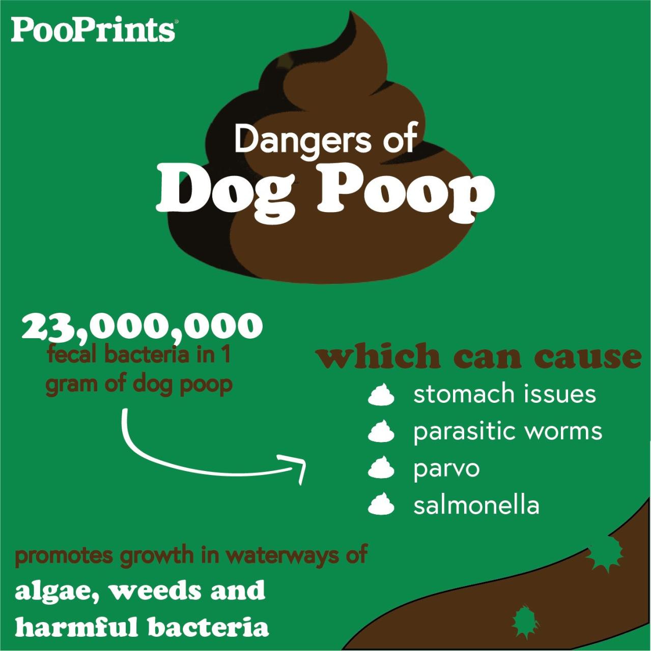 Does Dog Poop Have Bacteria? Uncovering The Dirty Truth