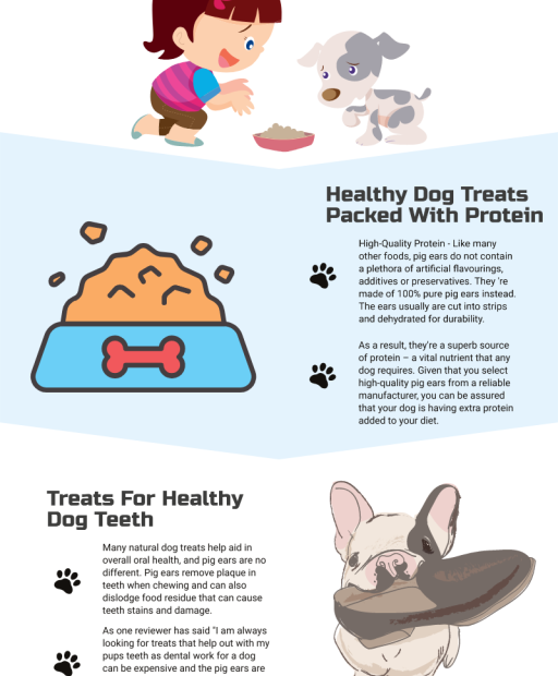 What Are Pig Ears: Health Benefits And Nutrition - Healthy Dog Treats –  Loyaltydogtreats