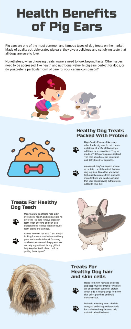 What Are Pig Ears: Health Benefits And Nutrition - Healthy Dog Treats –  Loyaltydogtreats
