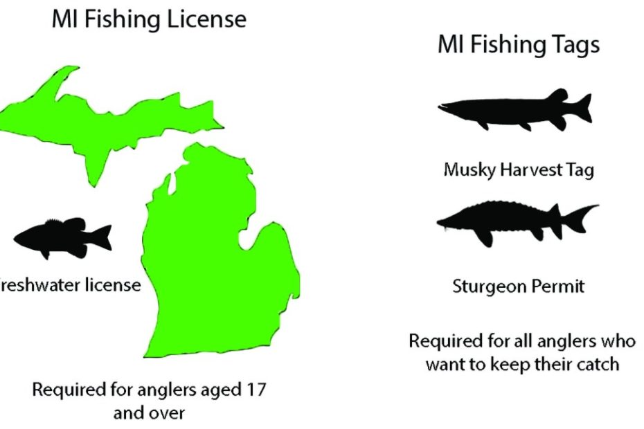 How To Get A Michigan Fishing License: All You Need To Know | Gary Spivack