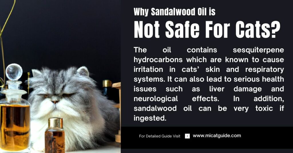 What Oil Is Safe For Cats A Guide To FelineFriendly Oils