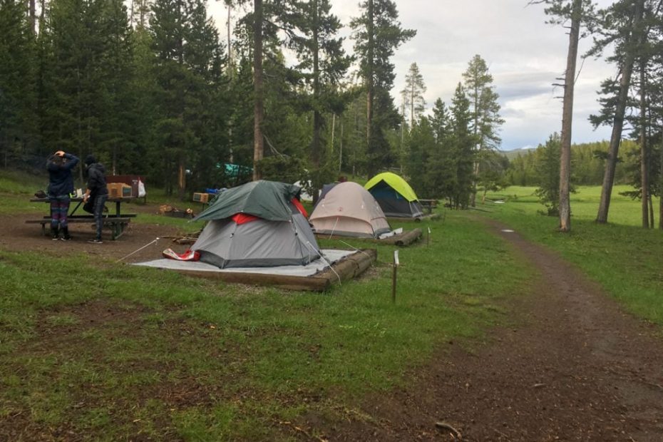 Camping In Yellowstone: Everything You Need To Know