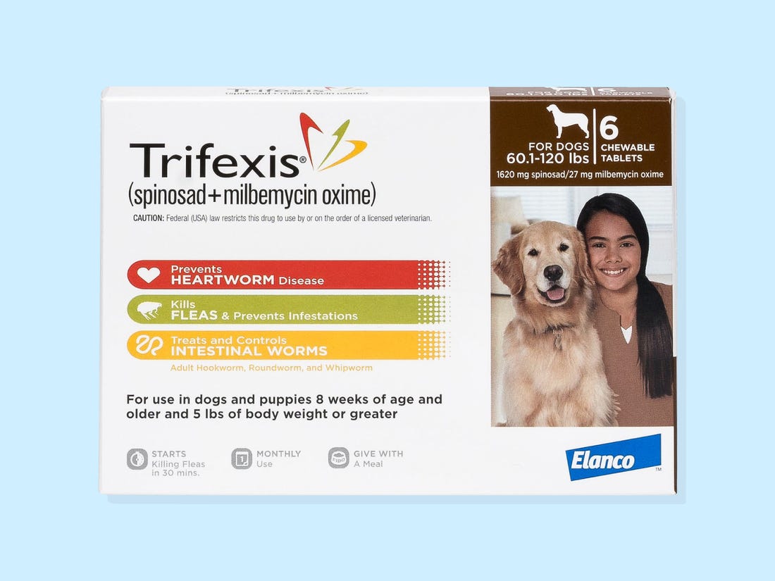4 Best Dewormers For Dogs In 2023