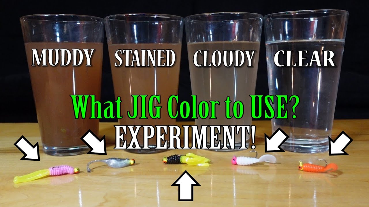 What Is The Best Jig Color? Best Lure Color For Water! Muddy To Clear Water  Experiment! - Youtube