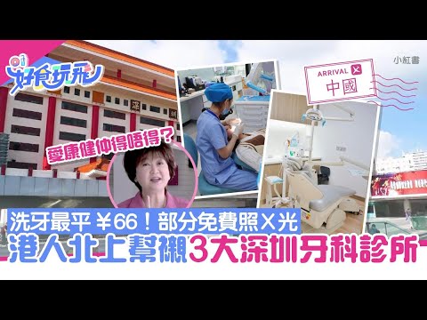 3間深圳牙科診所港人北上洗牙 最平¥66起可免費照X光|01旅遊|大灣區|深圳睇牙 3間深圳牙科診所港人北上洗牙 最平¥66起可免費照X光|01旅遊|大灣區|深圳睇牙